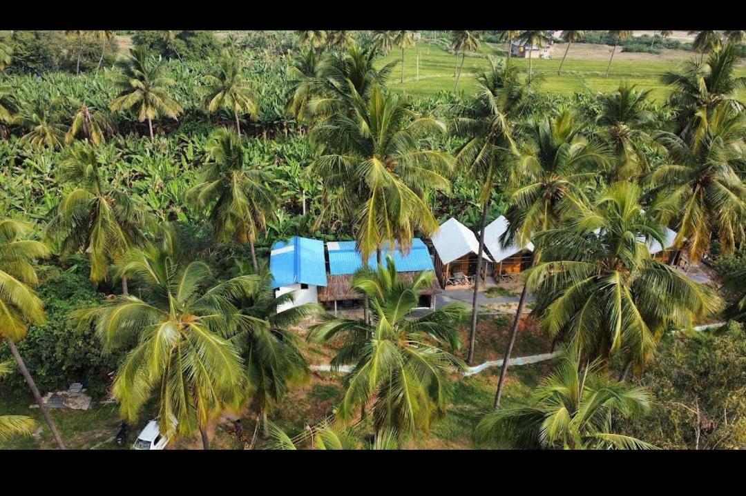 Hotel River Bay Hampi Exterior foto